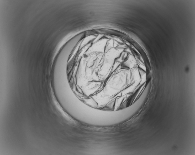 X0000116141005201001041028