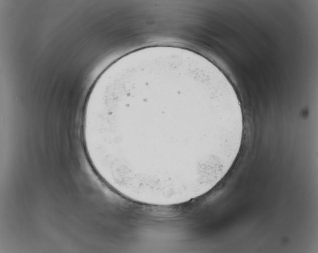 X0000116141007201001041028