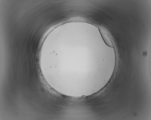 X0000116141008201001041028