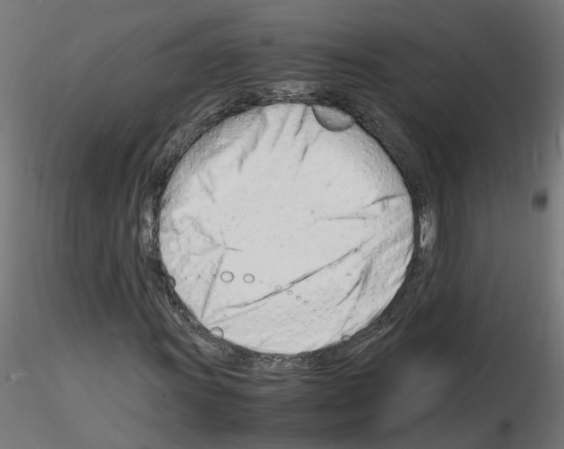 X0000116141011201001041028