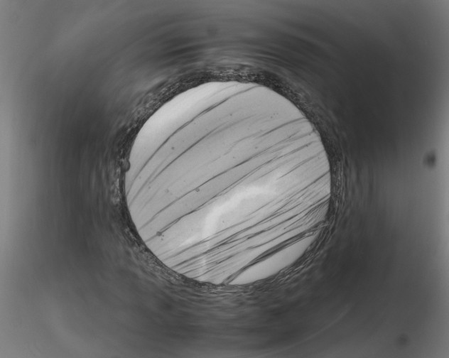 X0000116141013201001041028