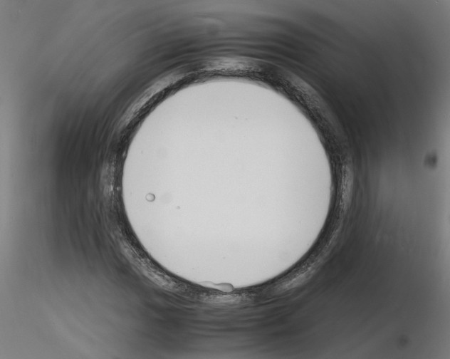 X0000116141017201001041028