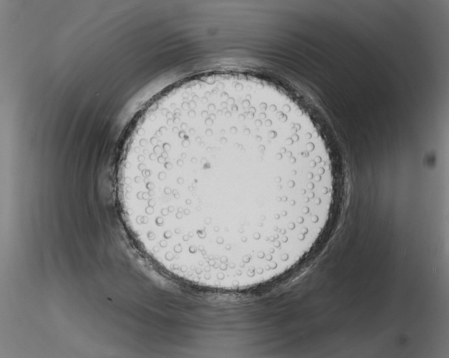 X0000116141018201001041028