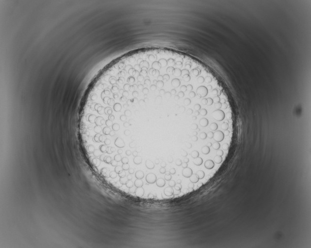 X0000116141020201001041028