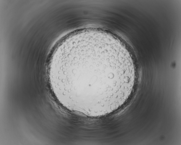 X0000116141021201001041028