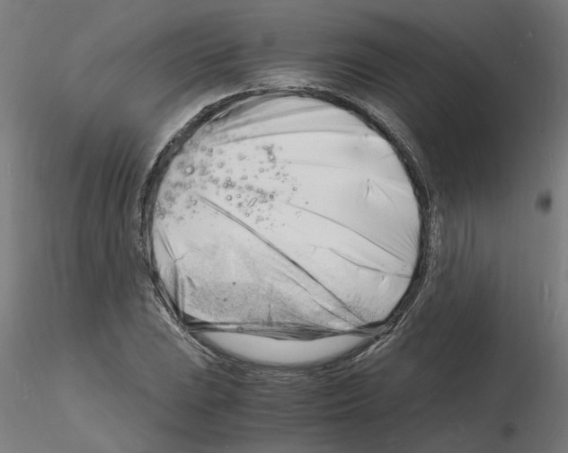 X0000116141023201001041028