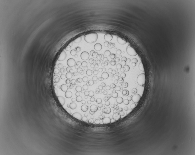 X0000116141025201001041028