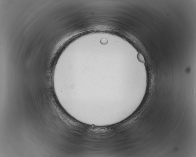 X0000116141027201001041028