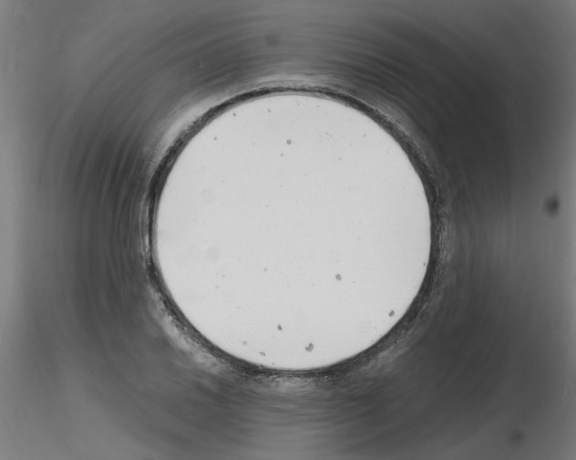 X0000116141030201001041028