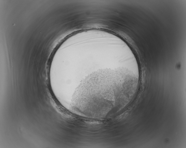 X0000116141031201001041028