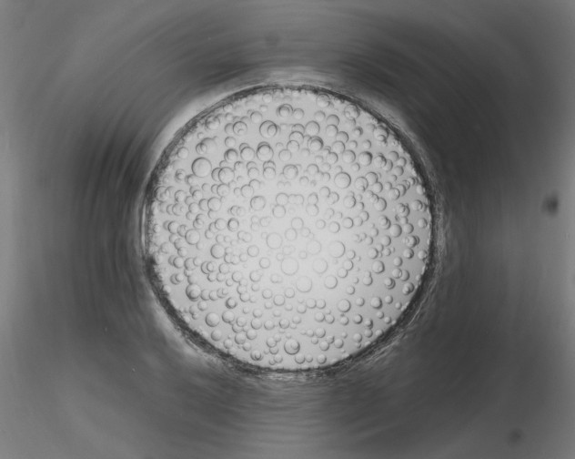 X0000116141032201001041028