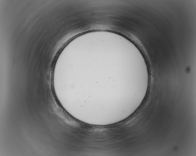 X0000116141035201001041028