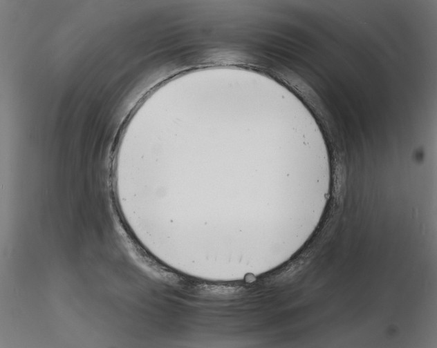 X0000116141039201001041028