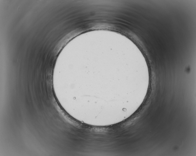 X0000116141041201001041028