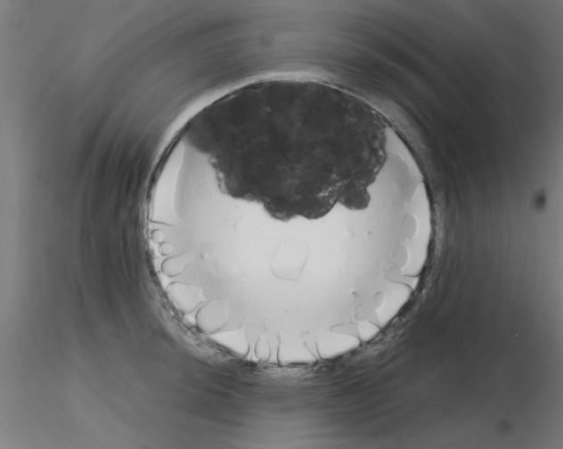 X0000116141044201001041028