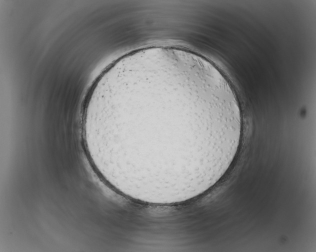 X0000116141046201001041028