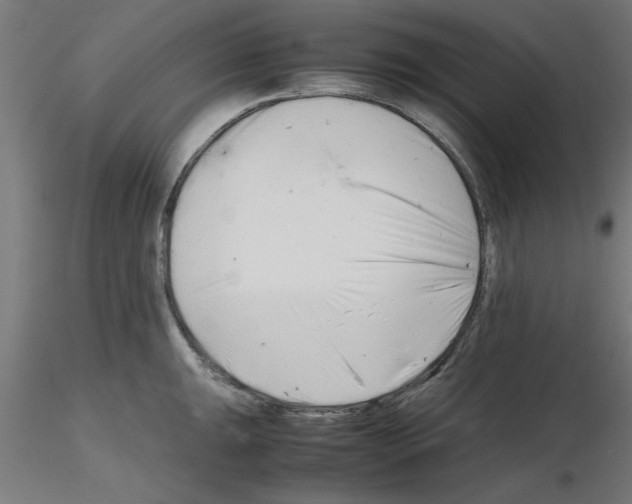 X0000116141047201001041028