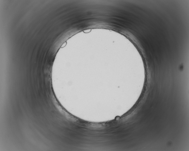 X0000116141049201001041028