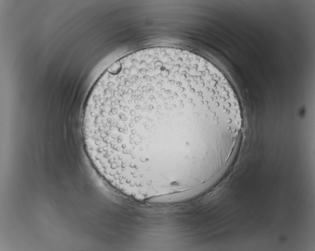 X0000116141050201001041028