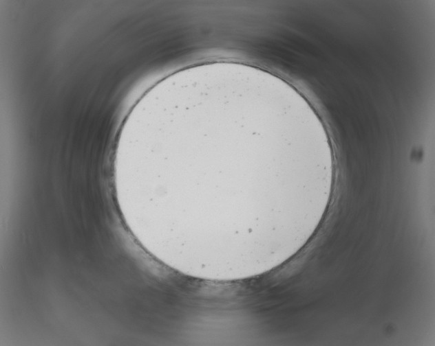 X0000116141056201001041028