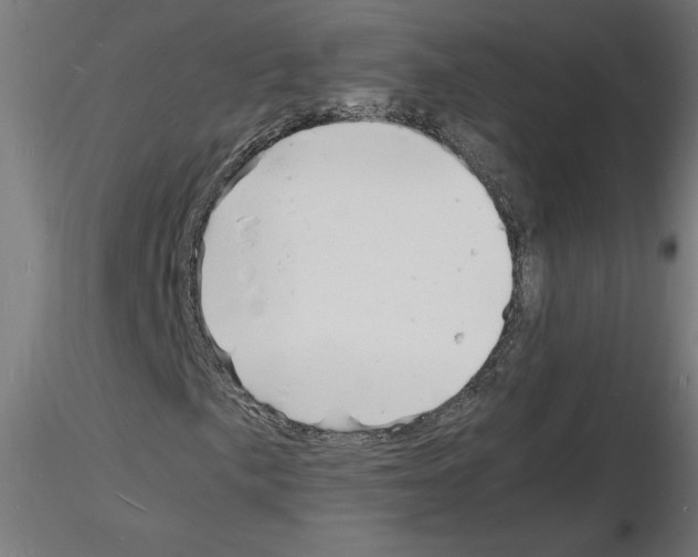 X0000116141057201001041028