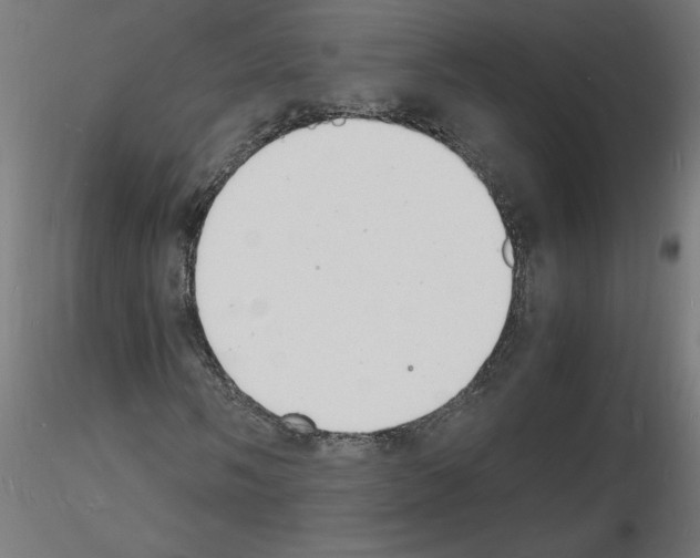 X0000116141058201001041028