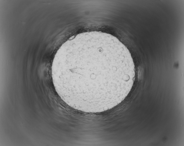 X0000116141059201001041028