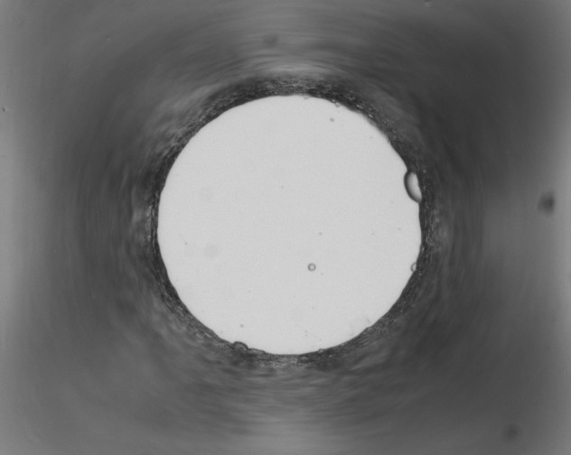 X0000116141061201001041028