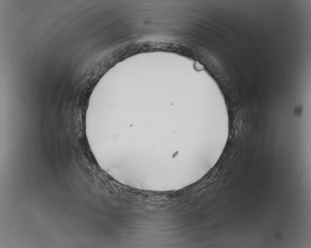 X0000116141062201001041028