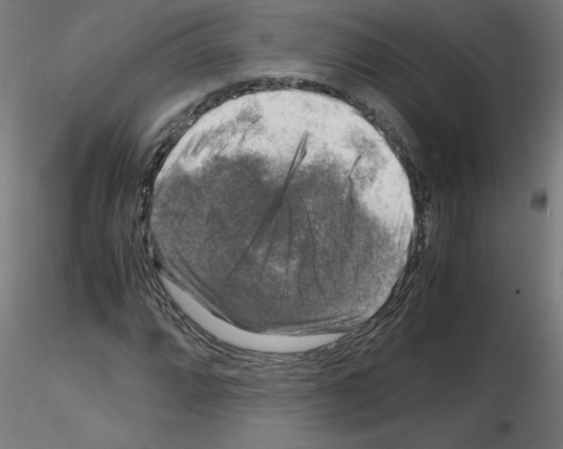 X0000116141064201001041028