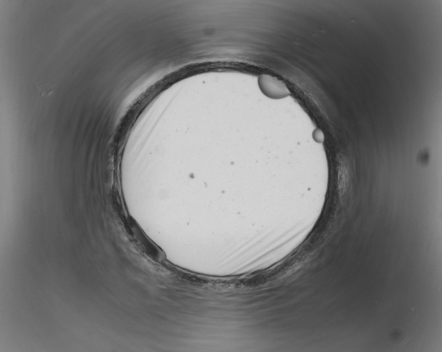 X0000116141069201001041027