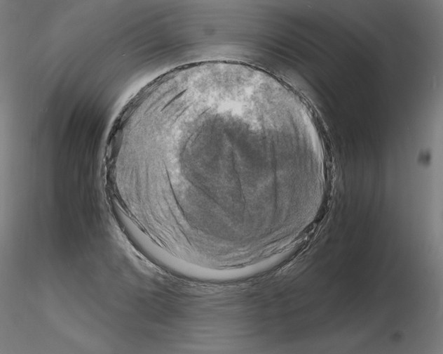 X0000116141072201001041027