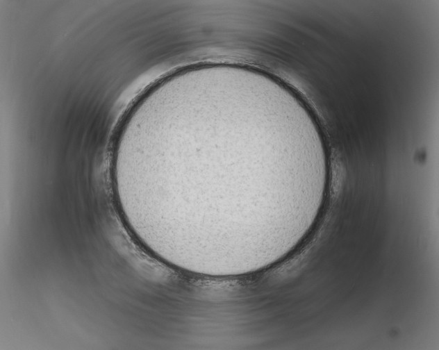 X0000116141074201001041027