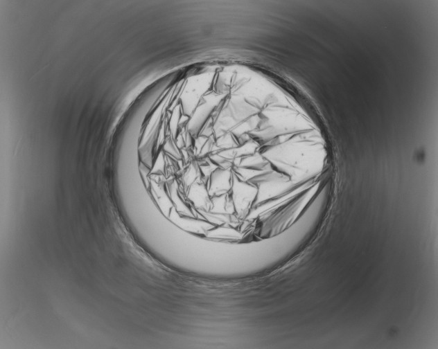 X0000116141075201001041027