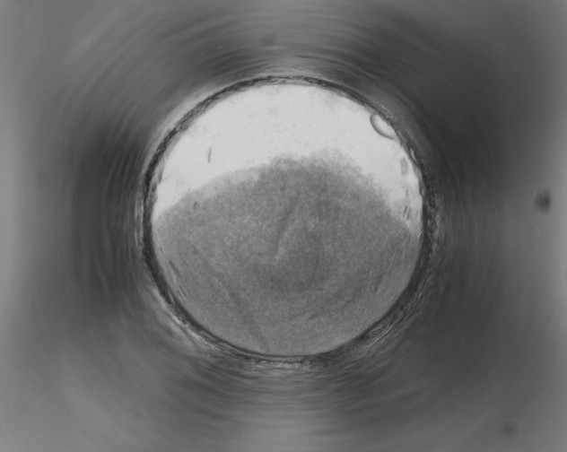 X0000116141076201001041027