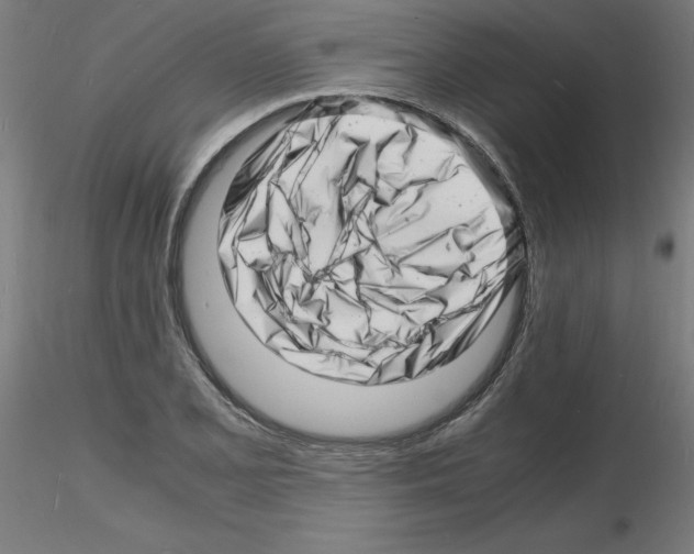 X0000116141077201001041027