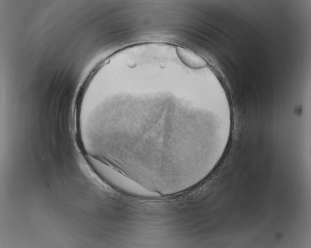 X0000116141080201001041027