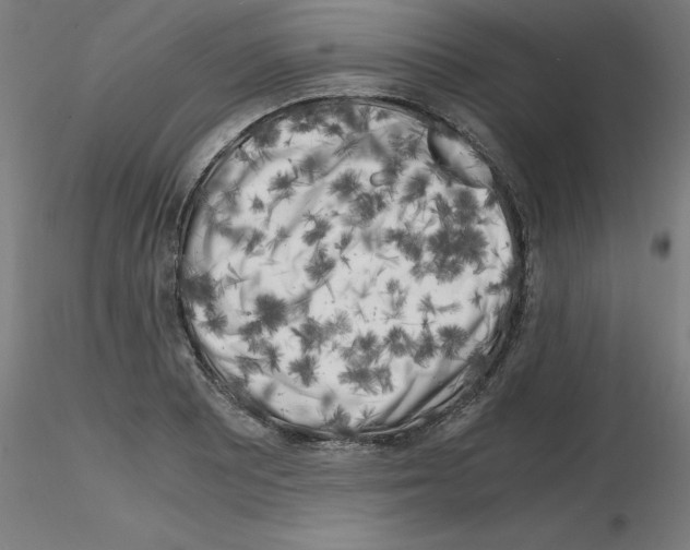 X0000116141081201001041027