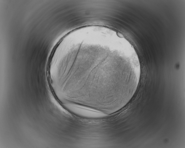 X0000116141084201001041027