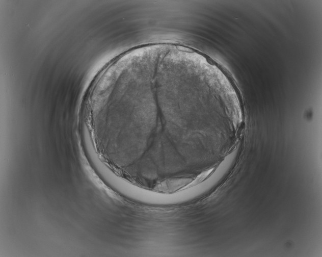 X0000116141088201001041027