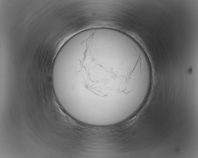 X0000116141089201001041027