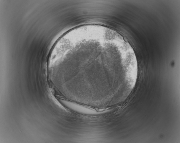 X0000116141092201001041027