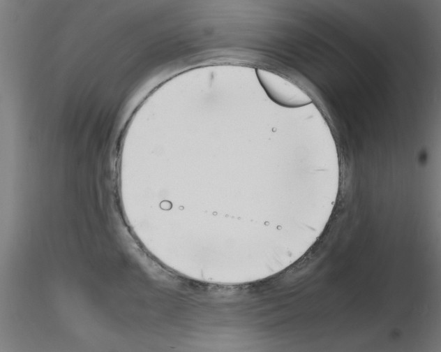 X0000116141099201001041027