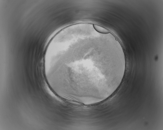 X0000116141100201001041027