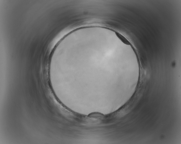 X0000116141101201001041027