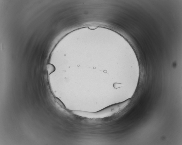 X0000116141102201001041027