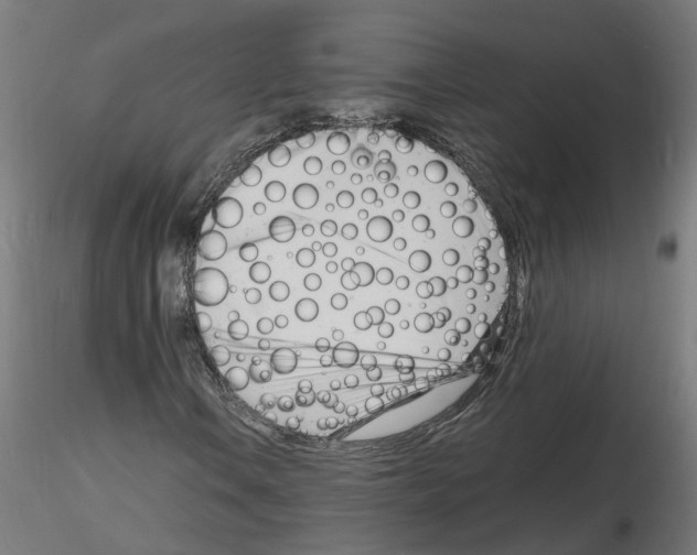 X0000116141106201001041026