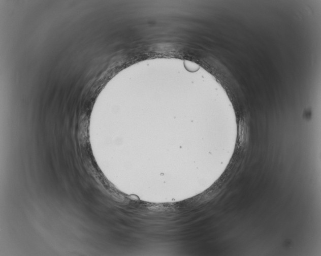 X0000116141107201001041026