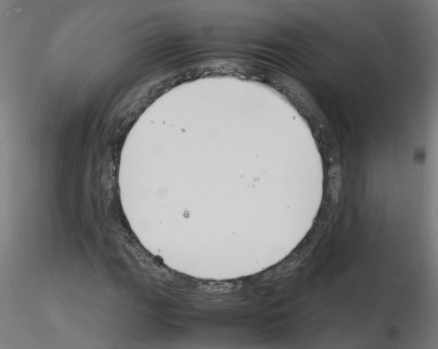 X0000116141111201001041026