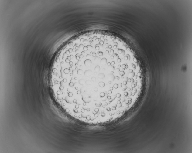 X0000116141113201001041026